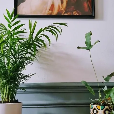 Spacieuse Avec Jardin, Terrasse, Et Equipements Complets A Baives, Proche Belgique Et Val Joly - Fr-1-510-218 Baives