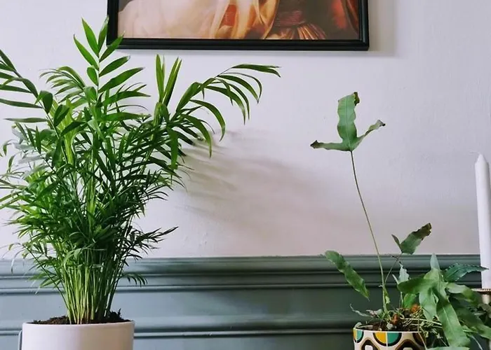 Spacieuse Avec Jardin, Terrasse, Et Equipements Complets A Baives, Proche Belgique Et Val Joly - Fr-1-510-218 Baives